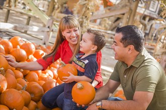 Happy mixed-race family picking pumpkins at the pumpkin patch
