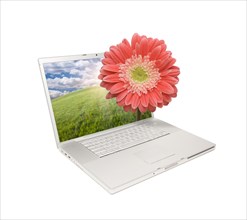 Silver computer laptop isolated with gerber daisy extruding the monitor screen