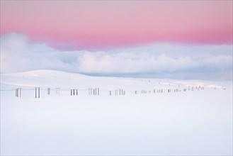 Power poles in winter landscape