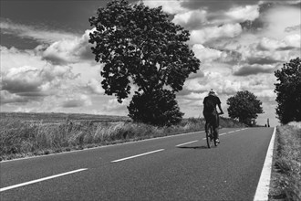 Girl riding a bicycle along the asphalt road among the fields of wheat