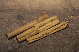 Cinnamon sticks (Cinnamomum verumaus) from Ceylon