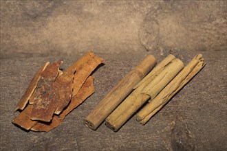 Chinese cinnamon bark (Cinnamomum cassiaund) and cinnamon sticks (Cinnamomum verumaus) from Ceylon