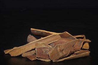 Chinese cinnamon (Cinnamomum cassia) bark