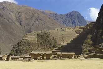 Terraces of the Inca ruins