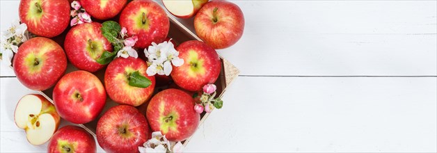 Apples fruits red apple fruit box on wooden board banner text free space copyspace with flowers and leaves