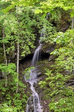 Small waterfall after heavy rain in Schwarzwassertal