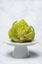 Cauliflower Romanesco on a decorative plate