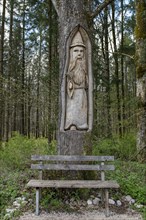 Resting place with wooden bench and carving in tree trunk