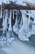 Icicles on the bank of the torrent Hoellbach