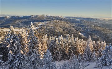 View from Arber on hilly landscape with spruce forest (Picea abies) in winter