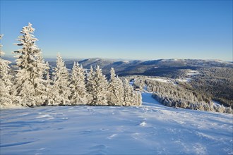 View from Arber on hilly landscape with spruce forest (Picea abies) in winter