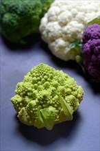 Cauliflower Romanesco and purple and white cauliflower