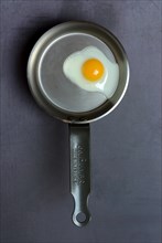 Quail egg in frying pan fried egg