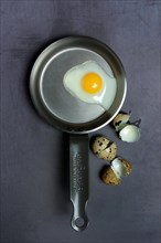 Quail egg in frying pan and eggshells