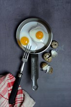 Quail eggs in frying pan and egg shells