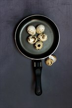 Quail eggs in frying pan and egg shells