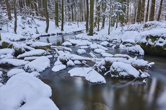 Wild river Hoellbach flows through snowy forest