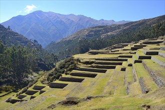 Walled terraces of the Incas