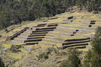 Walled terraces of the Incas