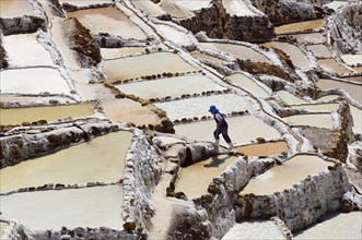 Workers in the terraces for salt extraction