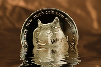 Cryptocurrency Wow half under water
