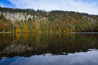 Autumn forest with reflection