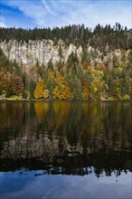 Autumn forest with reflection