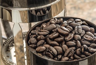 Fresh dark coffee beans in grinder next to press