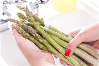 Woman washing asparagus in the kitchen sink