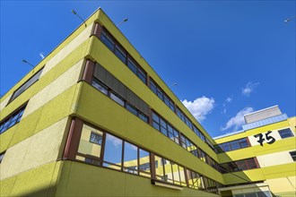 Yellow-green facades