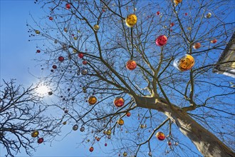 Tree hung with Christmas balls
