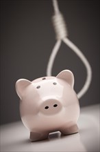 Piggy bank with hangman's noose behind on grey background