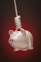 Piggy bank hanging in hangman's noose on red spot lit background