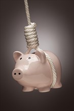 Piggy bank hanging in hangman's noose on spot lit background