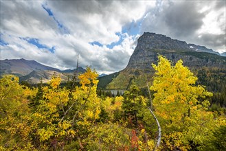View of Sinopah Mountain with bushes in fall colors