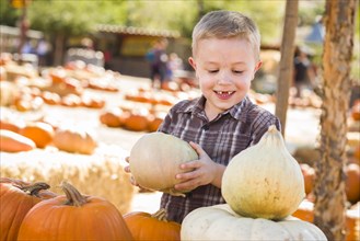 Adorable little boy gathering his pumpkins at a pumpkin patch on a fall day
