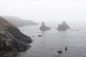 Rugged cliffs off the coast in the mist