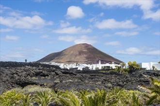 Volcanic cone over the wineyards of Lanzarote