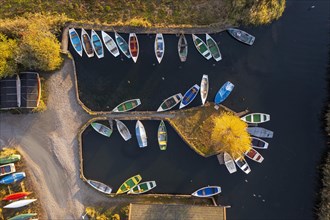 Rowing boats in the harbour from above