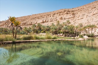 Landscape of Wadi Bani Khalid