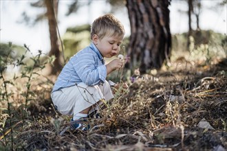 Cute toddler exploring forest and blowing dandelion