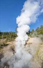 Steaming thermal spring