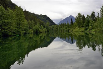 Auwaldsee