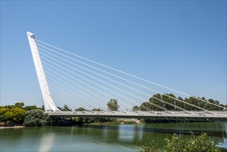 Puente del Alamillo over the Rio Guadalquivir
