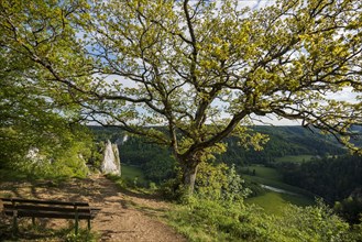 View from Stiegelesfelsen