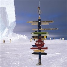 Emperor penguins (Aptenodytes forsteri) walking behind a German Signpost on the ice