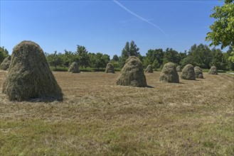 Piled up haystacks on a field