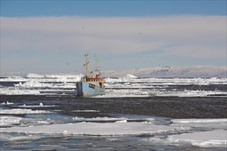 Blue fishing boat in drift ice
