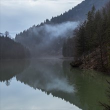 Fog reflects in the water