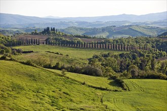 Hilly landscape of Tuscany
